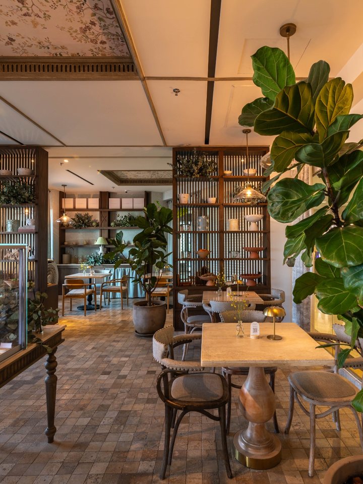 Café interior with botanical ceiling and joinery shelving by MAKS Interiors
